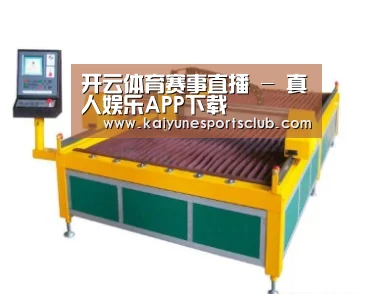 产品名称十九