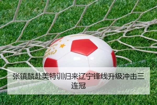 张镇麟赴美特训归来辽宁锋线升级冲击三连冠