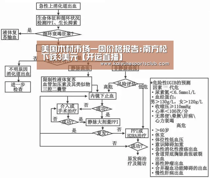开运登录